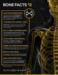 Bone facts infographic sourced from Cleveland Clinic